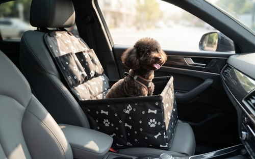 Auto hundesitz für kleine - für,