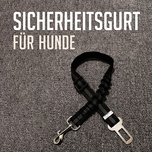 Elastische auto - elastische,