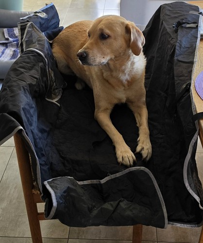 Hundedecke schutzmatte - hundedecke,