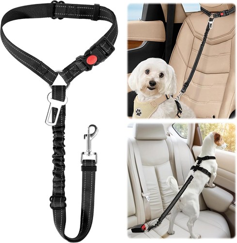 Anschnallgurt hund auto - hund,