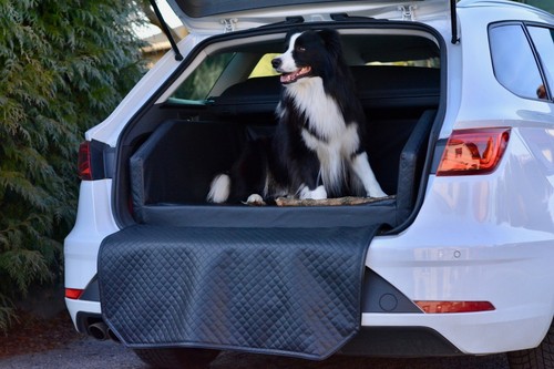 Autohundebett bettex - autohundebett,