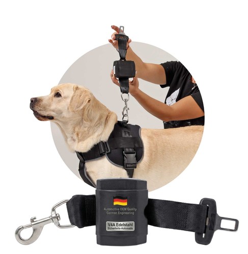 Hunde sicherheitsgurt - hunde,