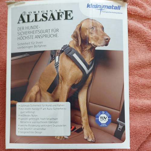 Sicherheit fur hund - und, fahrer
