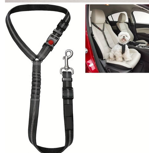 Hunde sicherheitsgurt auto - hunde,
